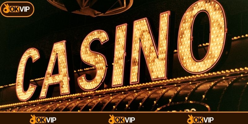 Hệ sinh thái sản phẩm nổi bật