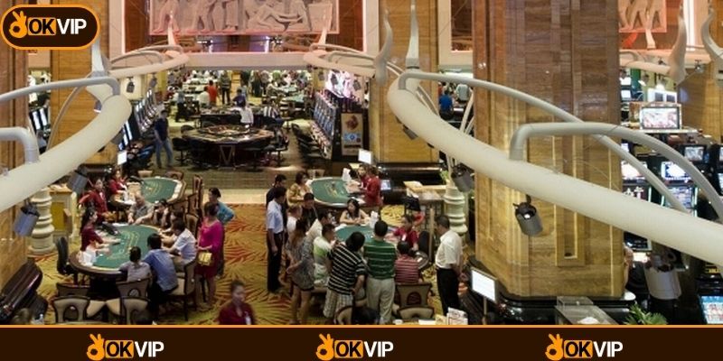 Chuẩn bị hồ sơ ứng tuyển Nhân Viên Hậu Đài